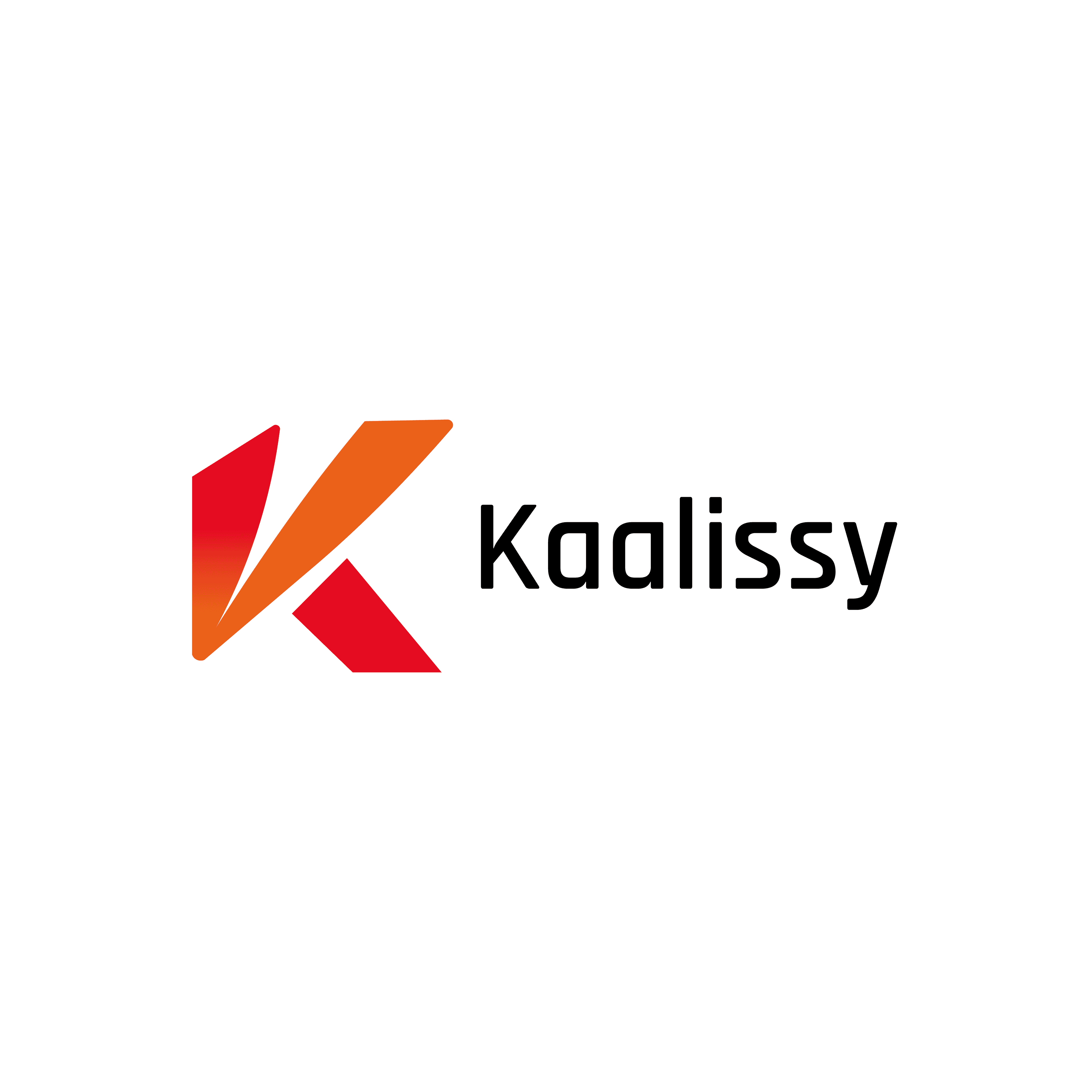 Logo Kaalissy